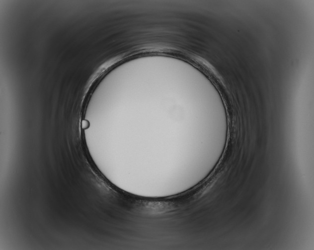 X0000085041322200703051017