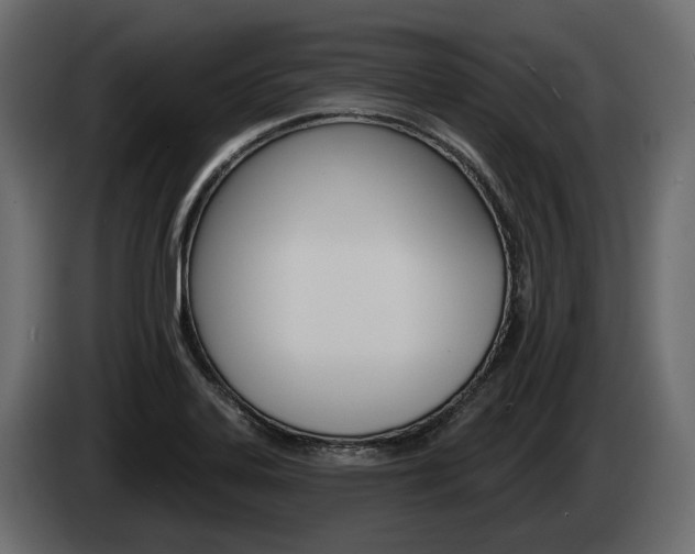 X0000085041323200703051017