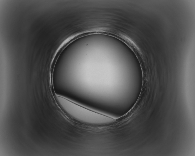 X0000085041324200703051017