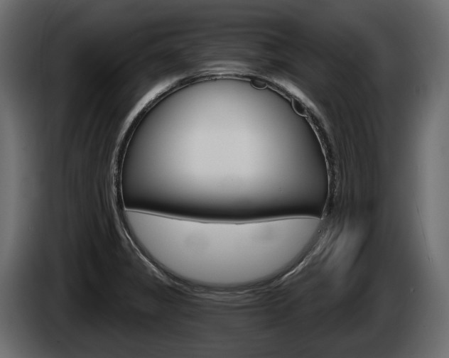 X0000085041325200703051017