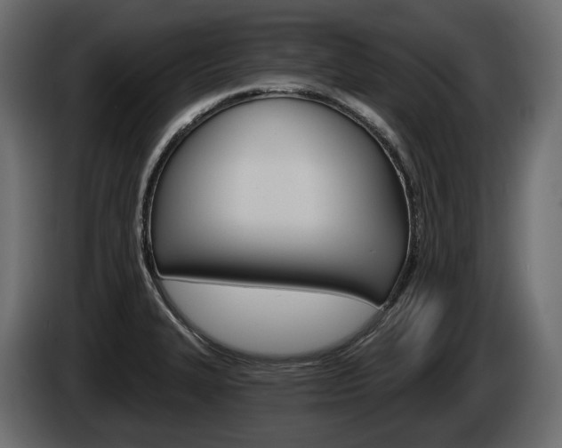 X0000085041327200703051017