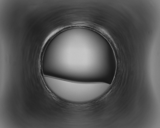X0000085041328200703051017