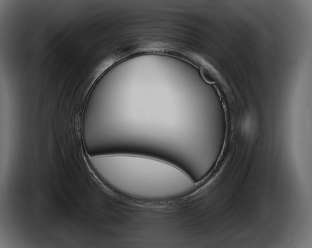 X0000085041329200703051017