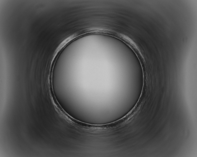 X0000085041330200703051018