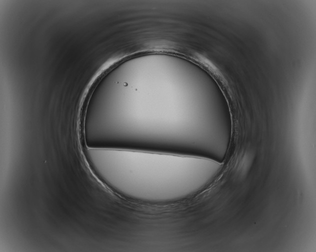 X0000085041331200703051018