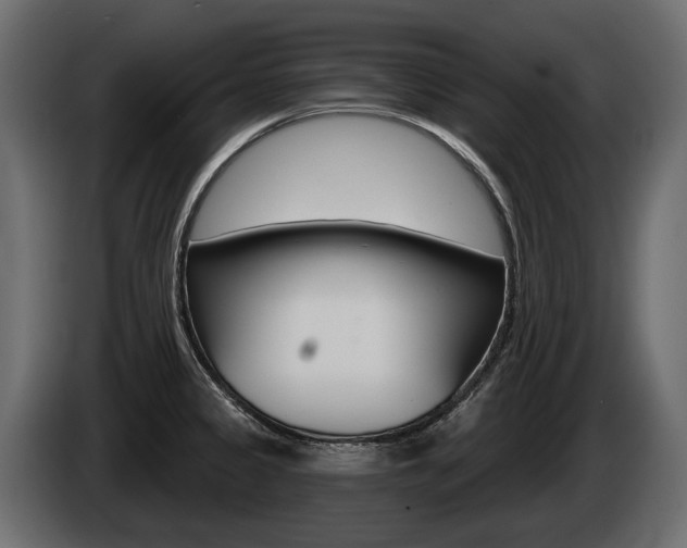 X0000085041333200703051018