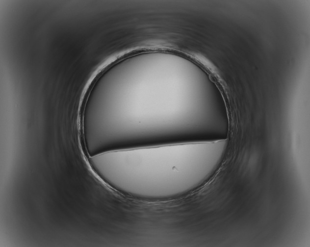 X0000085041335200703051018