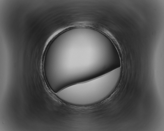 X0000085041336200703051018