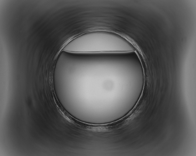 X0000085041337200703051018