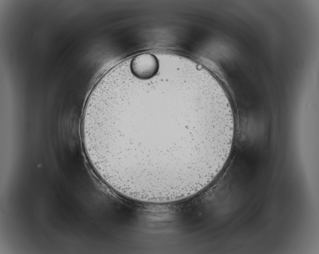 X0000085041338200703051018