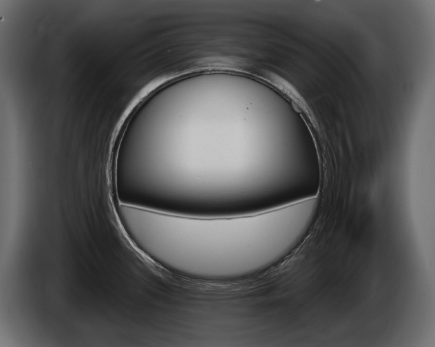 X0000085041339200703051018