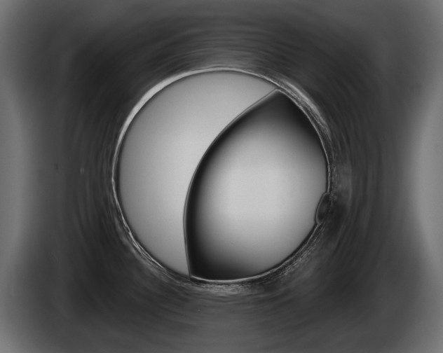 X0000085041340200703051018