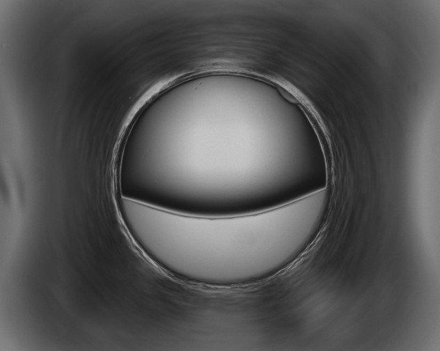 X0000085041341200703051018