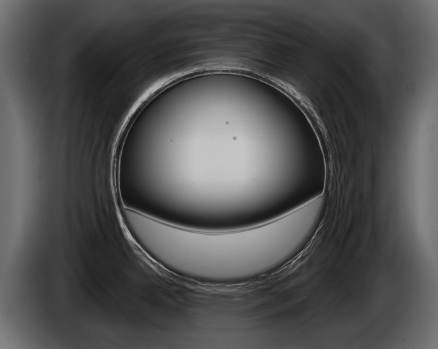 X0000085041342200703051018