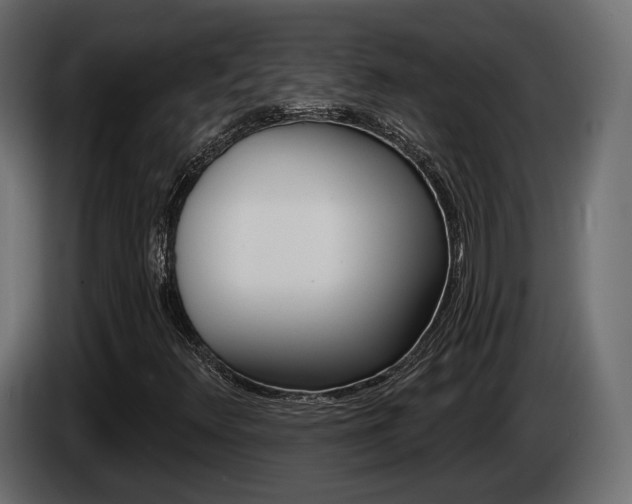 X0000085041348200703051017