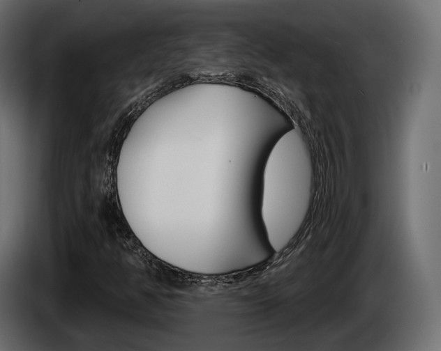 X0000085041350200703051017