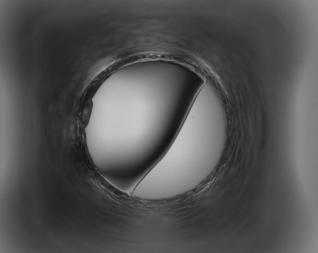 X0000085041352200703051017