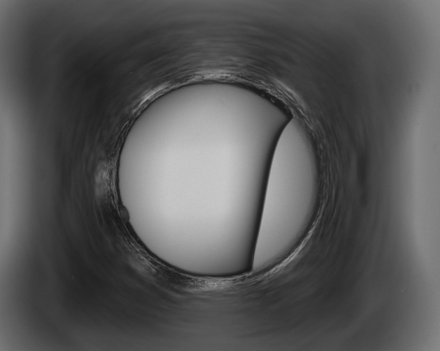 X0000085041353200703051017