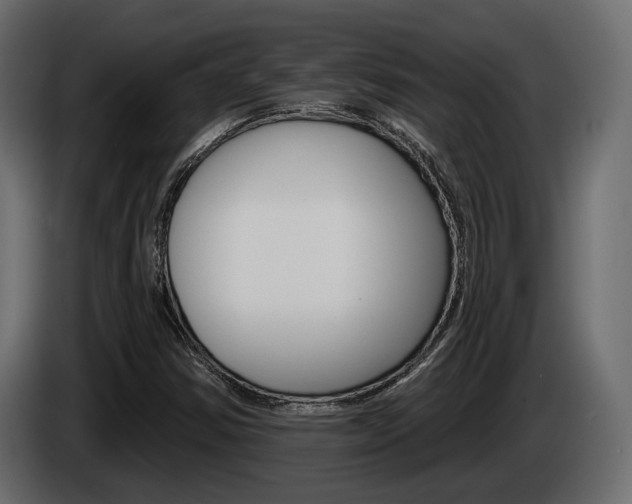 X0000085041354200703051017