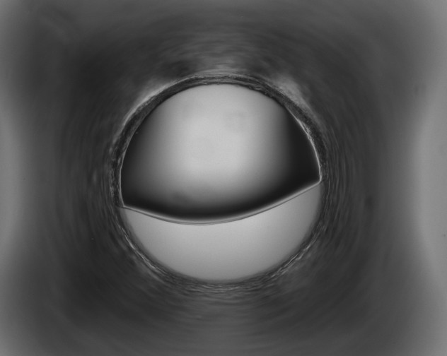 X0000085041356200703051017
