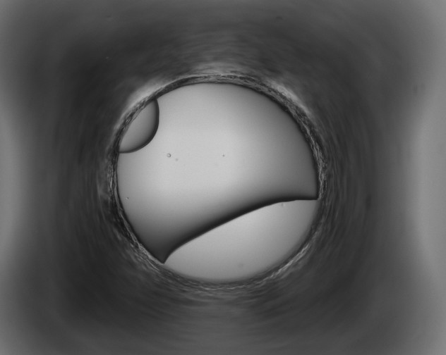X0000085041358200703051017