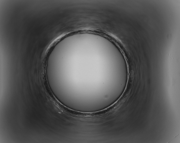 X0000085041359200703051017