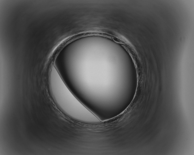 X0000085041360200703051017