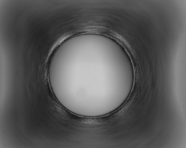 X0000085041362200703051017