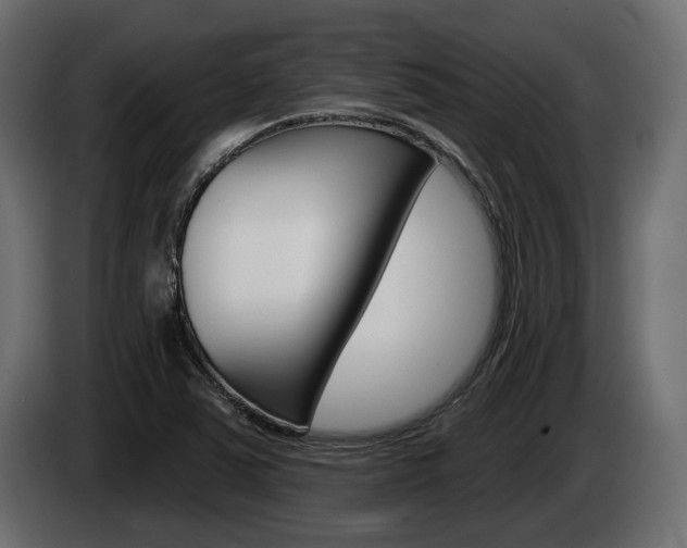 X0000085041363200703051017