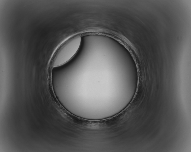 X0000085041364200703051017