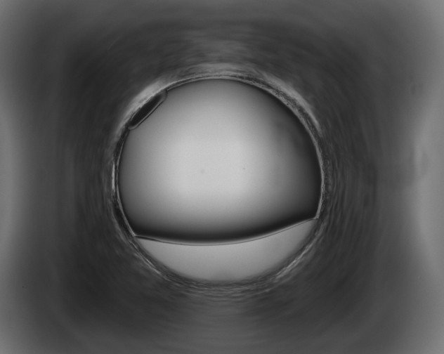X0000085041365200703051017