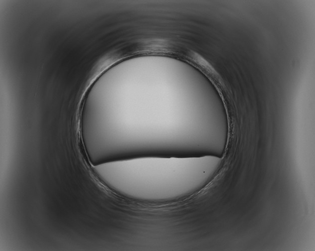 X0000085041370200703051017