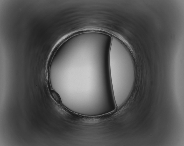 X0000085041372200703051017