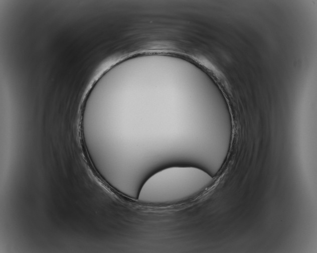 X0000085041374200703051017