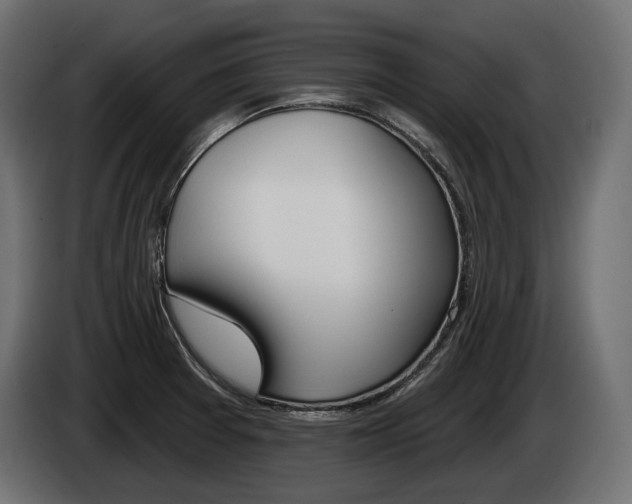 X0000085041377200703051017