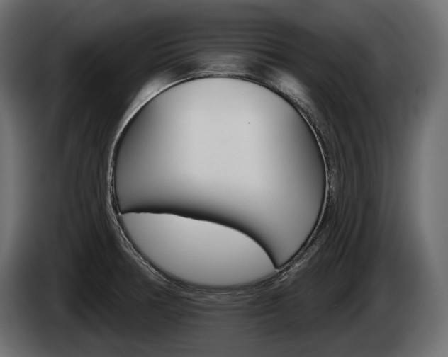 X0000085041378200703051017