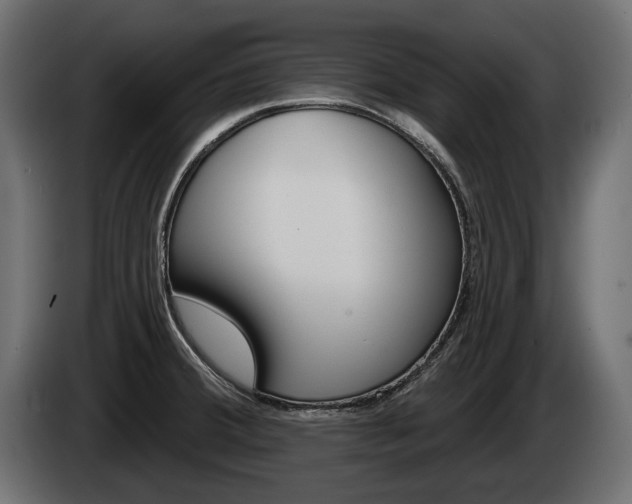 X0000085041380200703051017