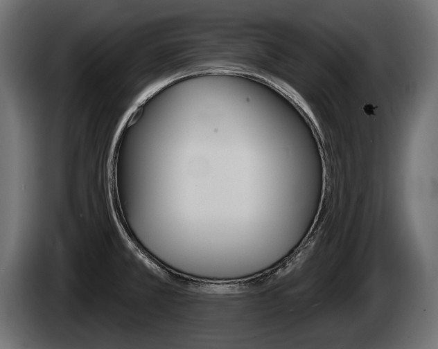 X0000085041381200703051017
