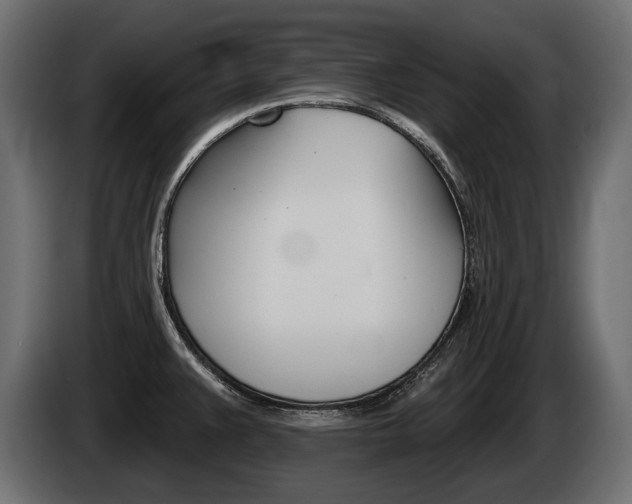 X0000085041383200703051017