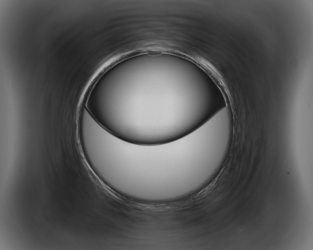 X0000085041384200703051017