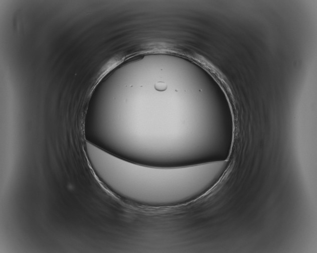 X0000085041385200703051017