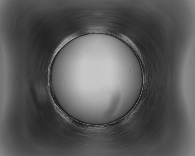 X0000085041386200703051017