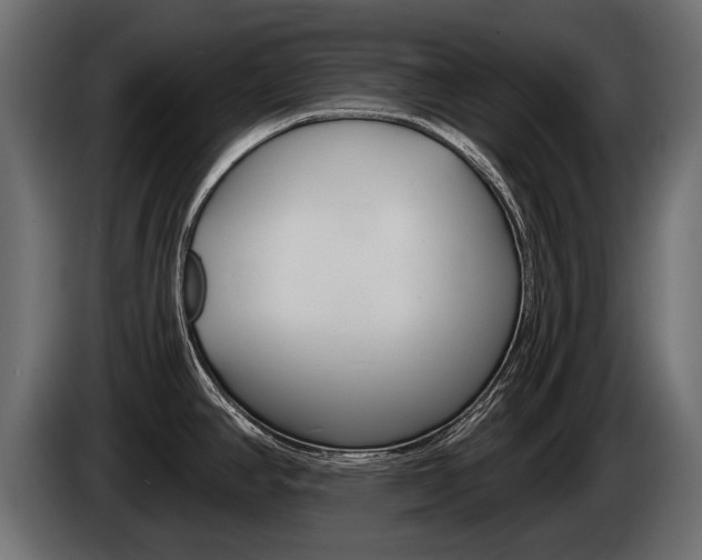 X0000085041390200703051017