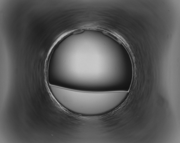 X0000085041392200703051017