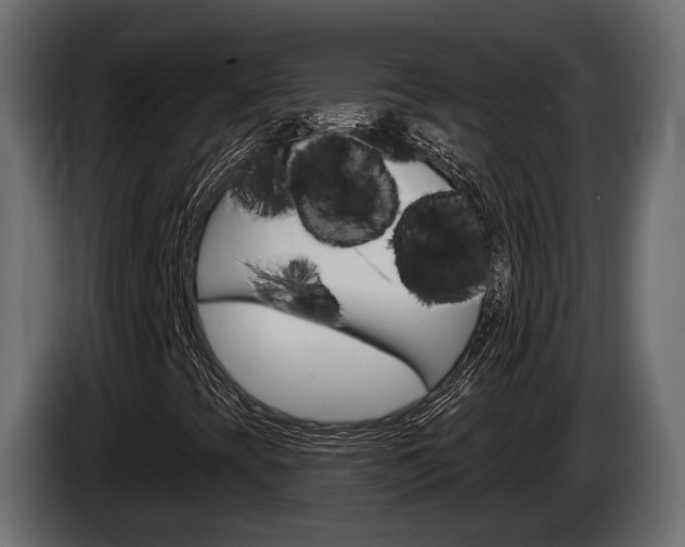 X0000085041393200703051016