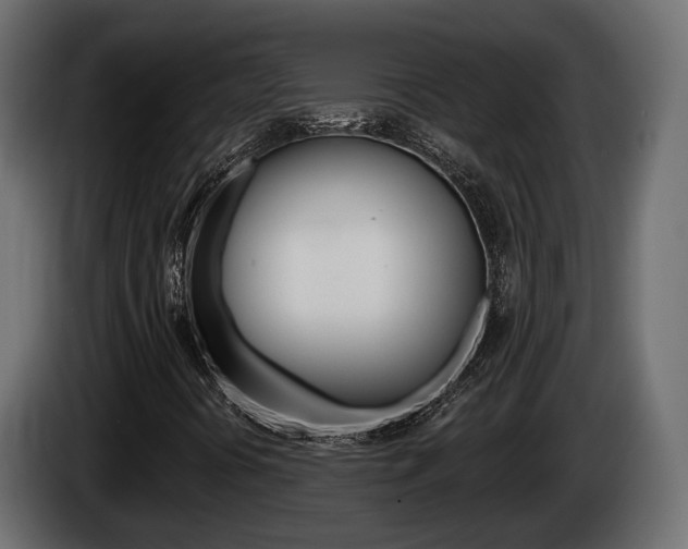 X0000085041394200703051016