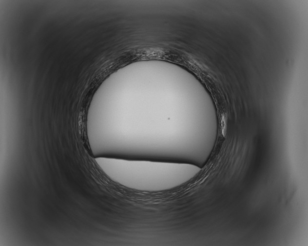 X0000085041395200703051016