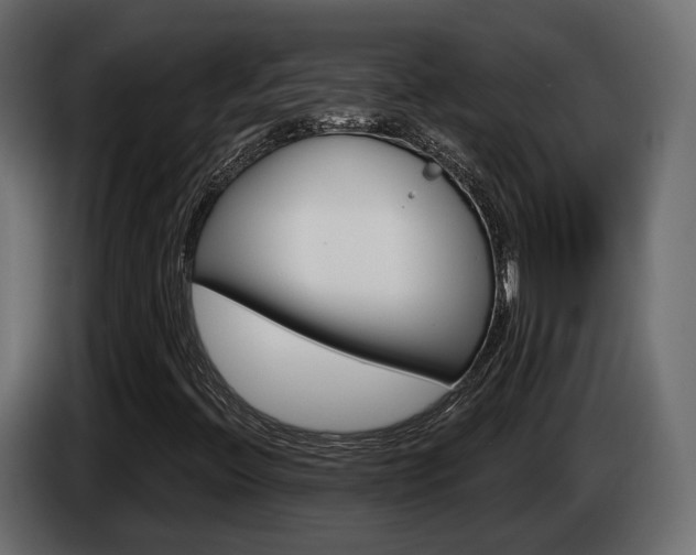 X0000085041396200703051016