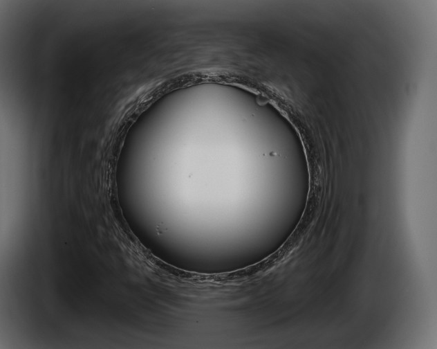 X0000085041398200703051016