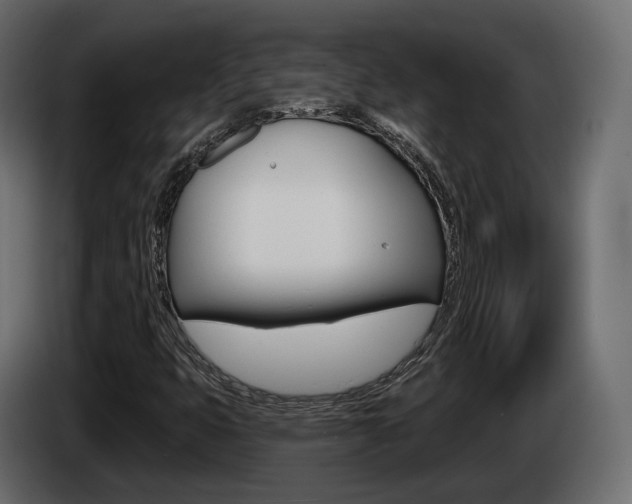 X0000085041399200703051016